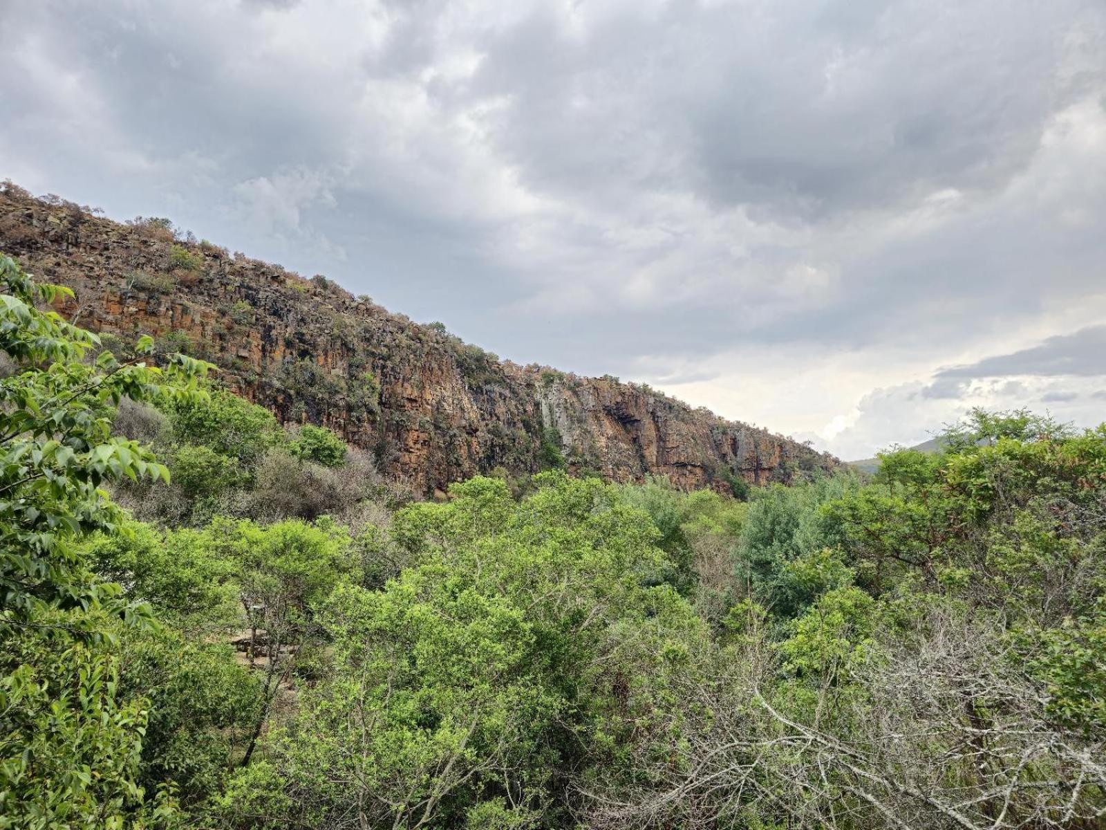 Riverbed Africa Lydenburg Oda fotoğraf