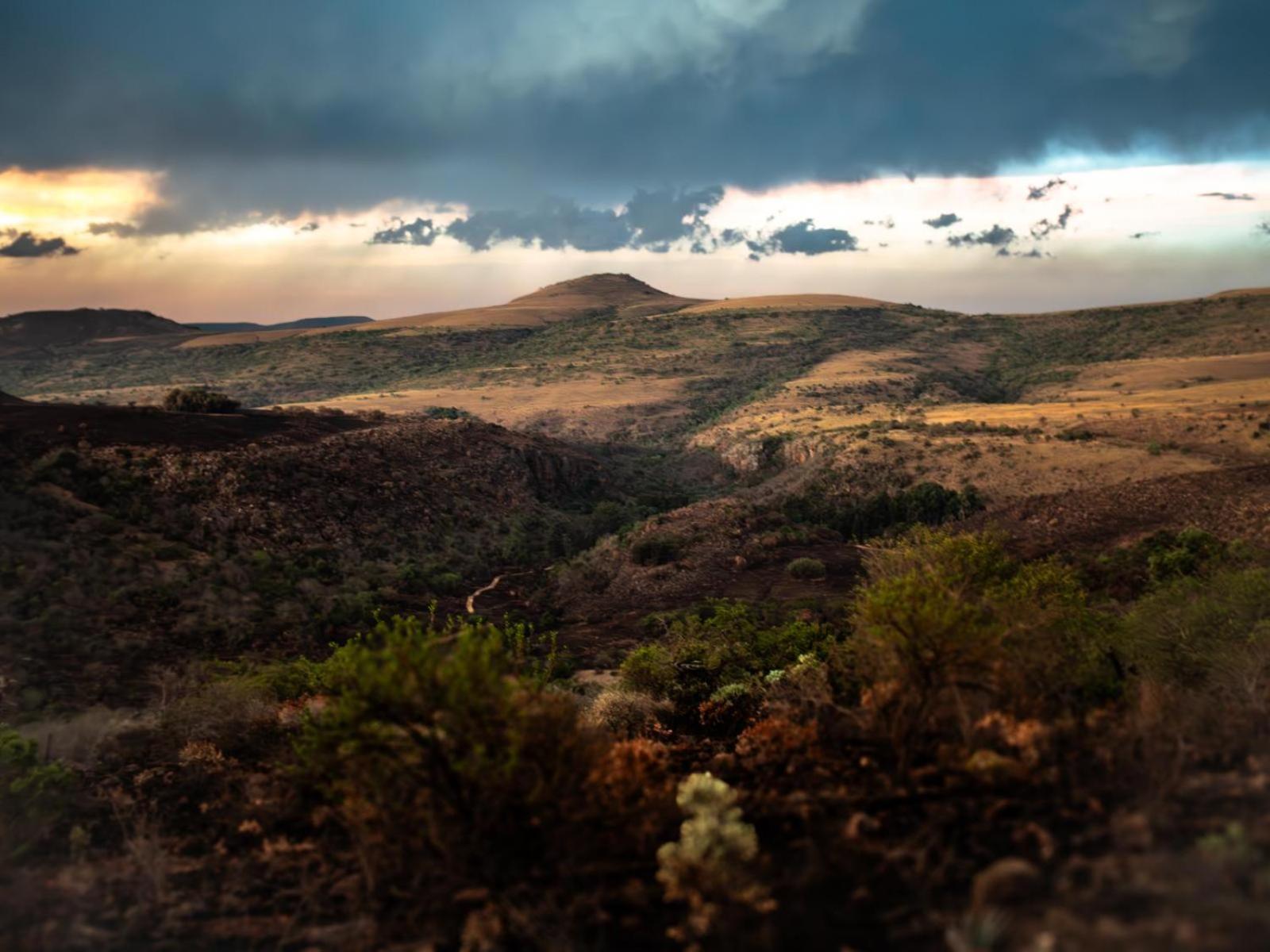 Riverbed Africa Lydenburg Oda fotoğraf