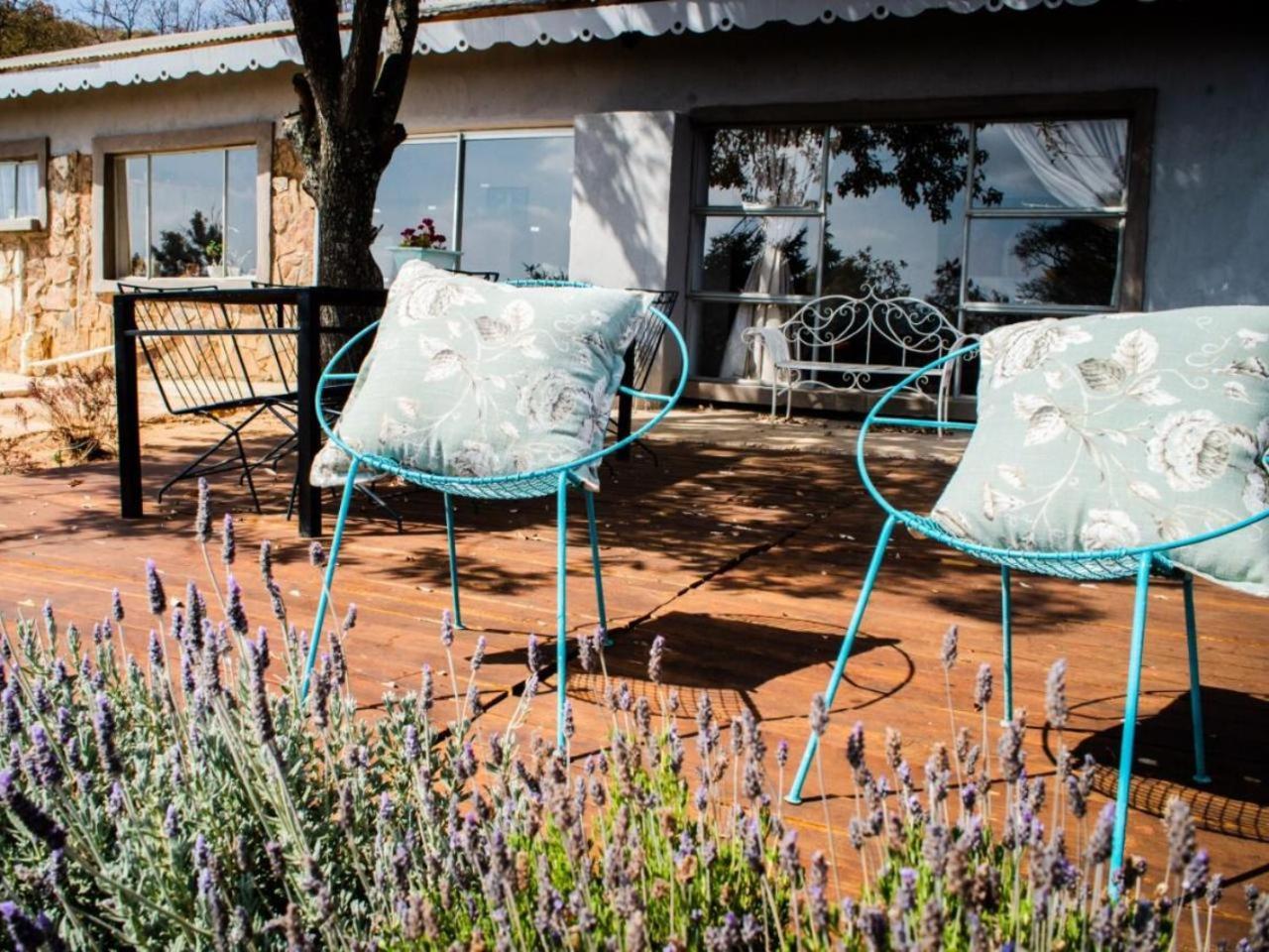 Riverbed Africa Lydenburg Oda fotoğraf
