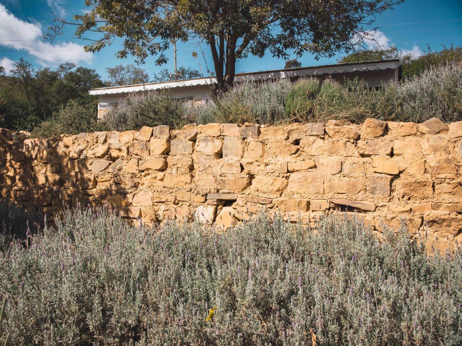 Riverbed Africa Lydenburg Dış mekan fotoğraf