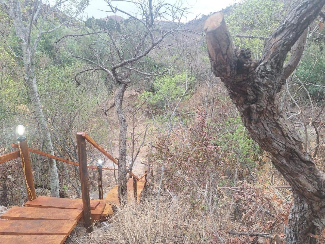 Riverbed Africa Lydenburg Oda fotoğraf