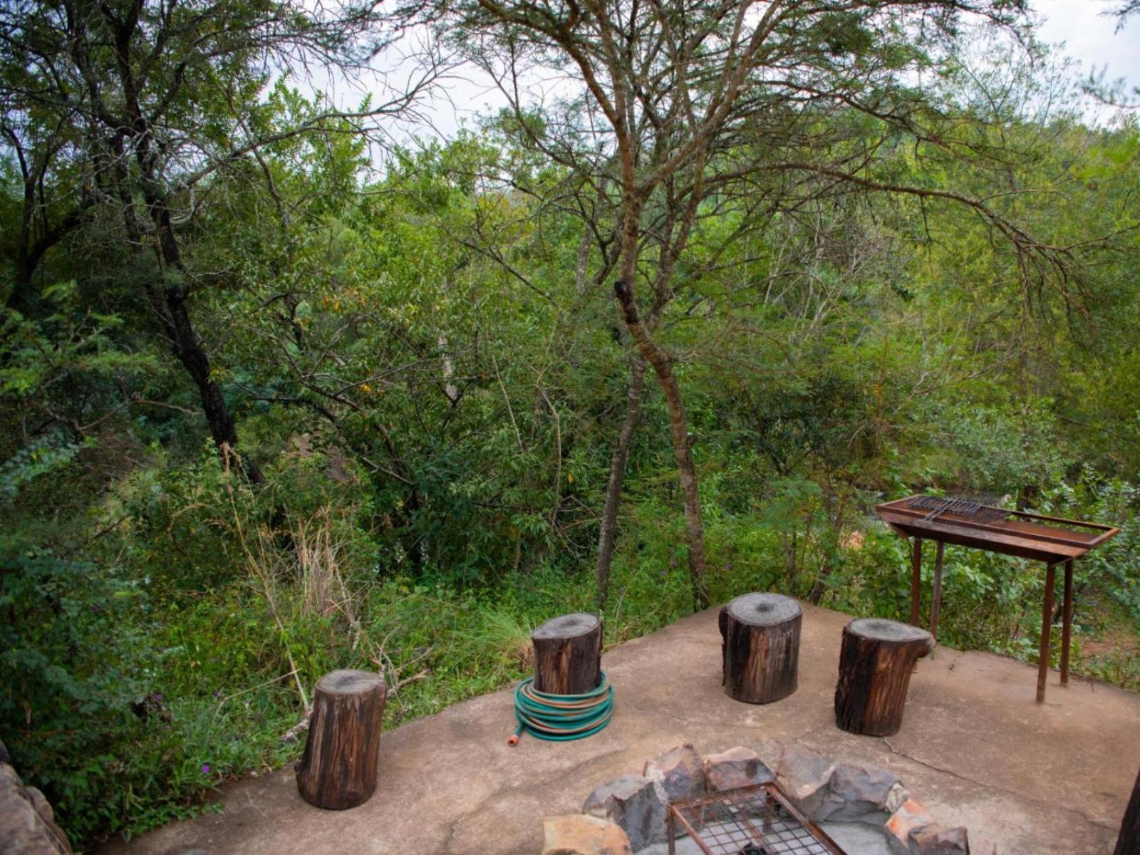 Riverbed Africa Lydenburg Oda fotoğraf
