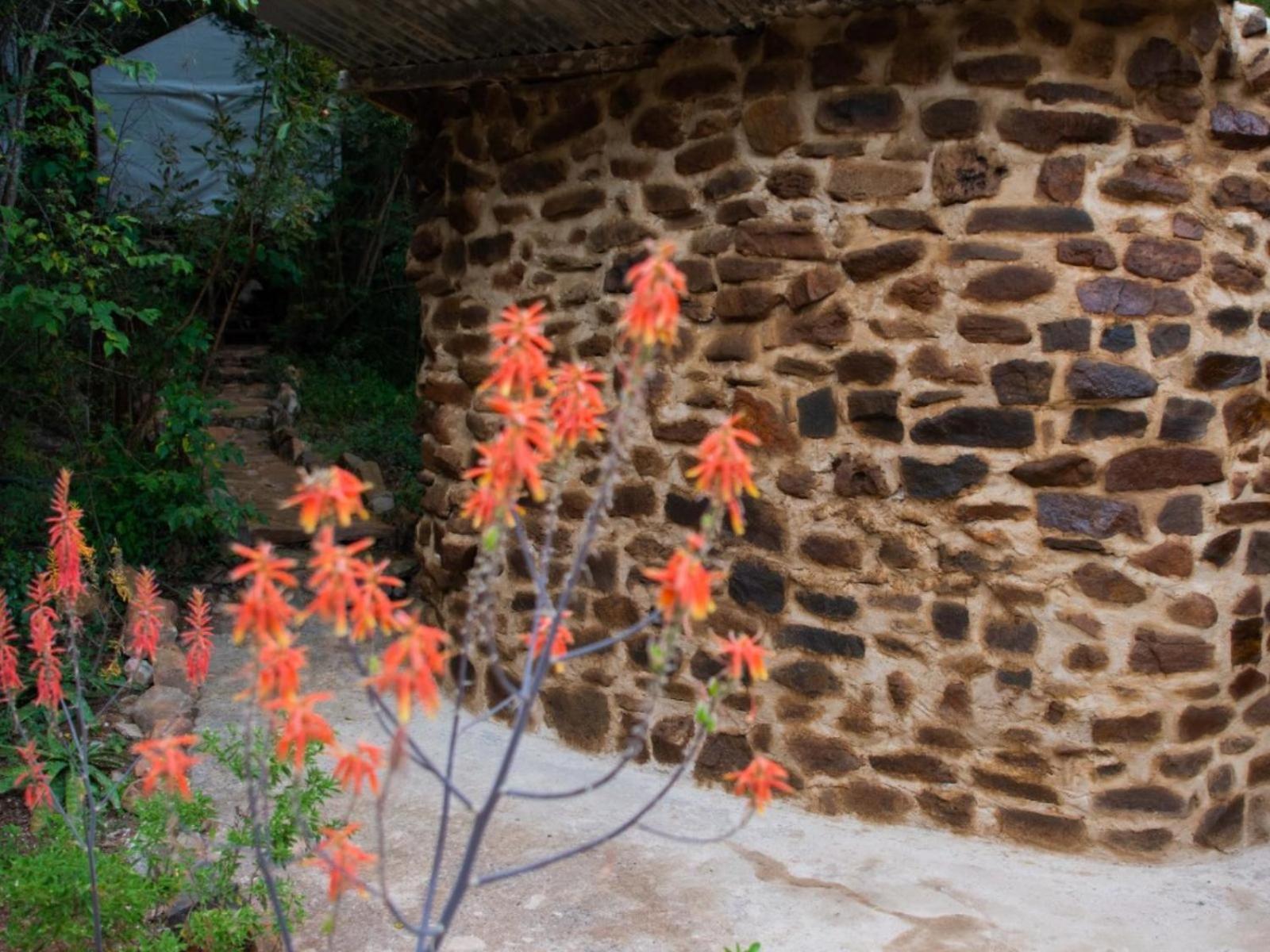Riverbed Africa Lydenburg Dış mekan fotoğraf