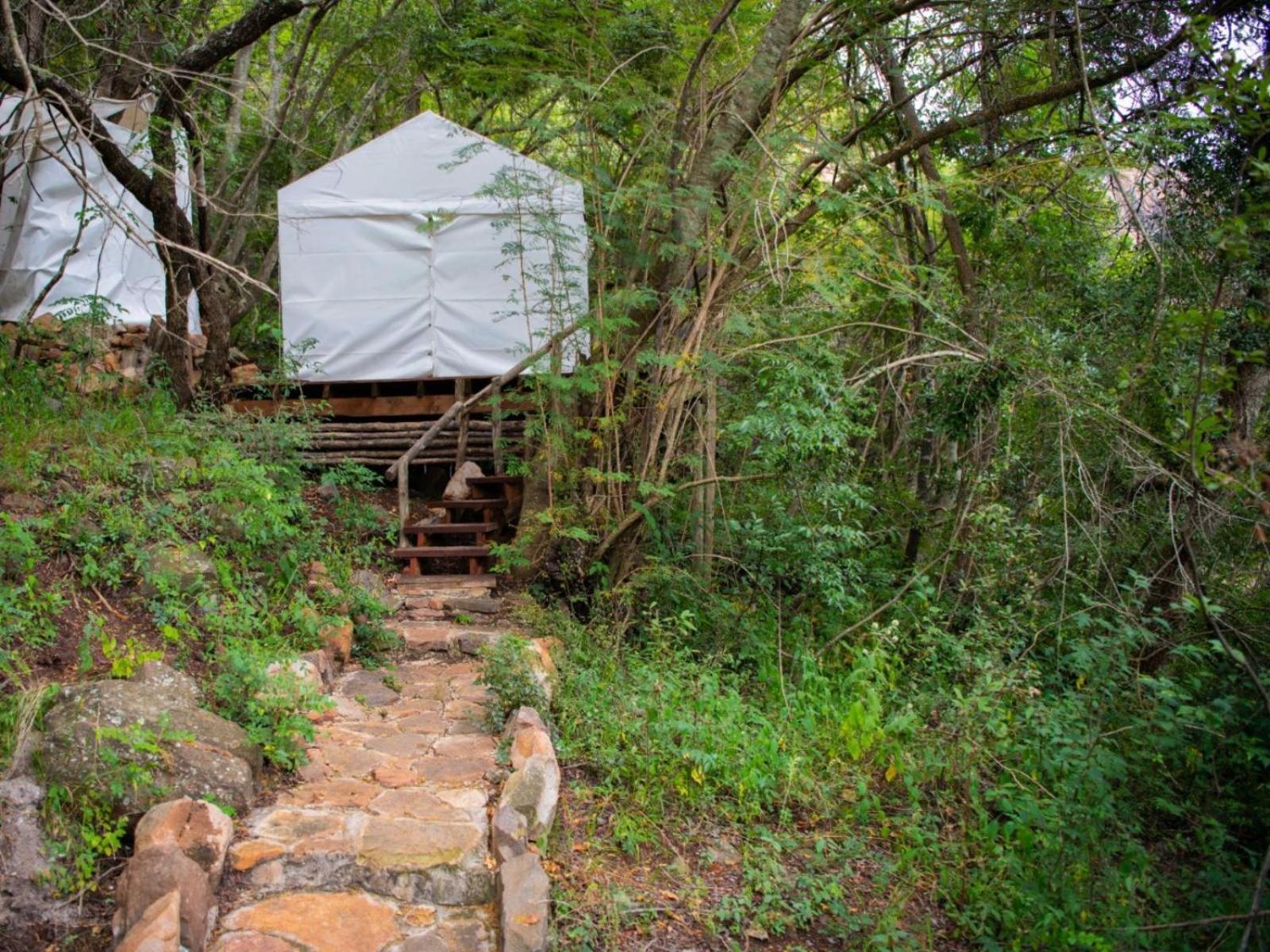 Riverbed Africa Lydenburg Oda fotoğraf